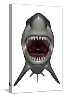 Megalodon Dinosaur with Mouth Open-Stocktrek Images-Stretched Canvas