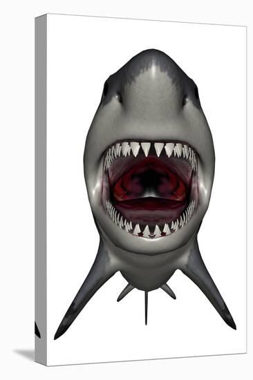 Megalodon Dinosaur with Mouth Open-Stocktrek Images-Stretched Canvas