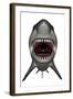 Megalodon Dinosaur with Mouth Open-Stocktrek Images-Framed Art Print