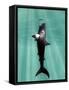 Megalodon Prehistoric Shark with Human-Christian Darkin-Framed Stretched Canvas