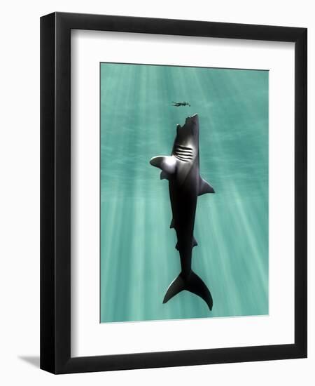 Megalodon Prehistoric Shark with Human-Christian Darkin-Framed Premium Photographic Print