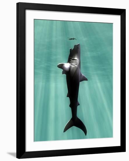 Megalodon Prehistoric Shark with Human-Christian Darkin-Framed Photographic Print