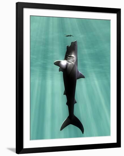 Megalodon Prehistoric Shark with Human-Christian Darkin-Framed Photographic Print