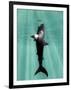 Megalodon Prehistoric Shark with Human-Christian Darkin-Framed Photographic Print