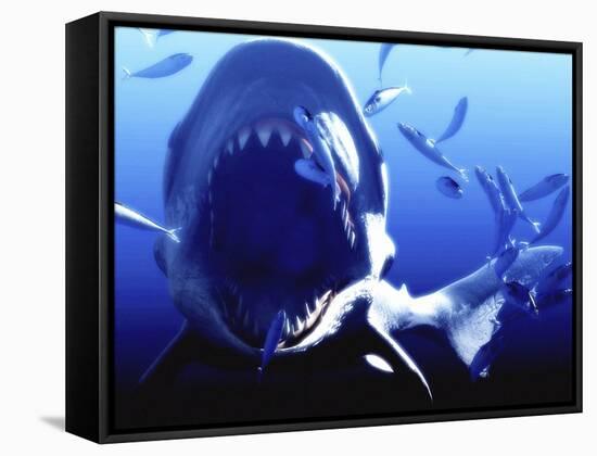 Megalodon Prehistoric Shark-Christian Darkin-Framed Stretched Canvas