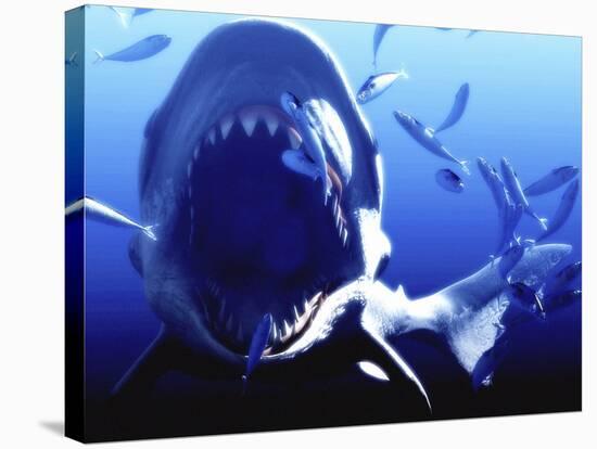 Megalodon Prehistoric Shark-Christian Darkin-Stretched Canvas