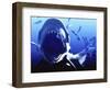 Megalodon Prehistoric Shark-Christian Darkin-Framed Premium Photographic Print