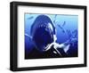 Megalodon Prehistoric Shark-Christian Darkin-Framed Premium Photographic Print