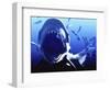 Megalodon Prehistoric Shark-Christian Darkin-Framed Premium Photographic Print