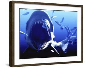 Megalodon Prehistoric Shark-Christian Darkin-Framed Photographic Print