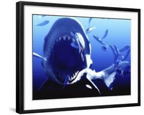 Megalodon Prehistoric Shark-Christian Darkin-Framed Photographic Print