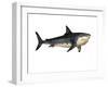 Megalodon Shark, an Enormous Predator from the Cenozoic Era-null-Framed Art Print