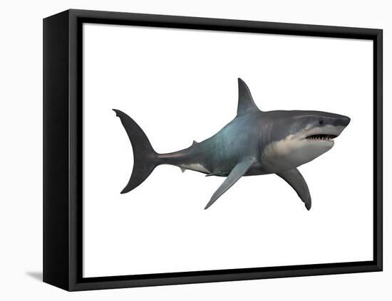 Megalodon Shark, an Enormous Predator from the Cenozoic Era-null-Framed Stretched Canvas