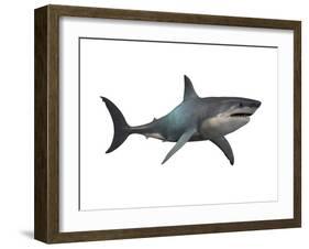 Megalodon Shark, an Enormous Predator from the Cenozoic Era-null-Framed Art Print