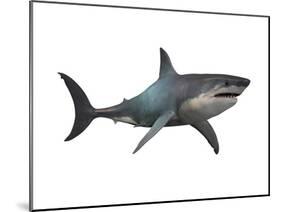 Megalodon Shark, an Enormous Predator from the Cenozoic Era-null-Mounted Art Print