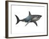 Megalodon Shark, an Enormous Predator from the Cenozoic Era-null-Framed Art Print