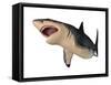 Megalodon Shark, an Enormous Predator from the Cenozoic Era-null-Framed Stretched Canvas