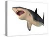 Megalodon Shark, an Enormous Predator from the Cenozoic Era-null-Stretched Canvas