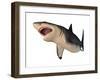 Megalodon Shark, an Enormous Predator from the Cenozoic Era-null-Framed Art Print