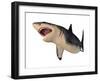 Megalodon Shark, an Enormous Predator from the Cenozoic Era-null-Framed Art Print