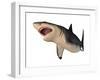 Megalodon Shark, an Enormous Predator from the Cenozoic Era-null-Framed Art Print