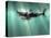 Megalodon Shark And Great White-Christian Darkin-Stretched Canvas