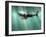 Megalodon Shark And Great White-Christian Darkin-Framed Photographic Print