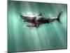 Megalodon Shark And Great White-Christian Darkin-Mounted Photographic Print