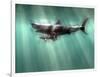 Megalodon Shark And Great White-Christian Darkin-Framed Photographic Print