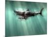 Megalodon Shark And Great White-Christian Darkin-Mounted Photographic Print