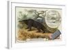 Megalosaurus and Otter-null-Framed Giclee Print