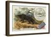 Megalosaurus and Otter-null-Framed Giclee Print