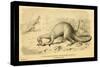 Megalosaurus Bucklandi-Joseph Smit-Stretched Canvas