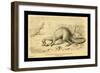 Megalosaurus Bucklandi-Joseph Smit-Framed Art Print