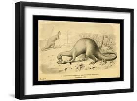 Megalosaurus Bucklandi-Joseph Smit-Framed Art Print