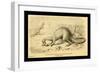 Megalosaurus Bucklandi-Joseph Smit-Framed Art Print