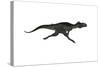 Megalosaurus Dinosaur Running, White Background-Stocktrek Images-Stretched Canvas