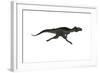 Megalosaurus Dinosaur Running, White Background-Stocktrek Images-Framed Art Print