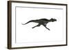 Megalosaurus Dinosaur Running, White Background-Stocktrek Images-Framed Art Print