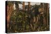 Megalosaurus Dinosaur Stalks the Forest-Stocktrek Images-Stretched Canvas