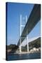 Megami Bridge, Nagasaki, Kyushu, Japan, Asia-Michael Runkel-Stretched Canvas