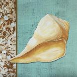 Yellow Seashell - Tan Side Border Teal Crackle Back-Megan Duncanson-Giclee Print