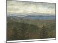 Wood Mount