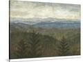 Stretched Canvas