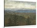Stretched Canvas