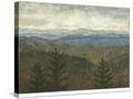 Stretched Canvas