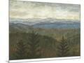 Wood Mount