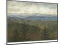 Wood Mount