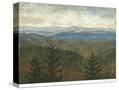 Stretched Canvas
