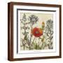 Brown Frame